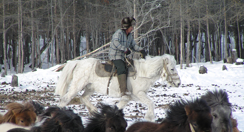 Peuples de l'Arctique | BED
