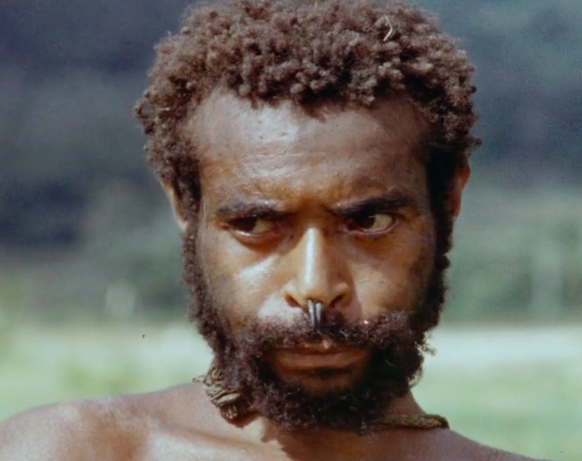 papou - hommes de la vallée de la waghi