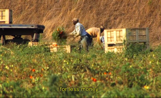 travailleurs agricoles en italie 