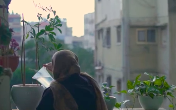 cuisine palestine 